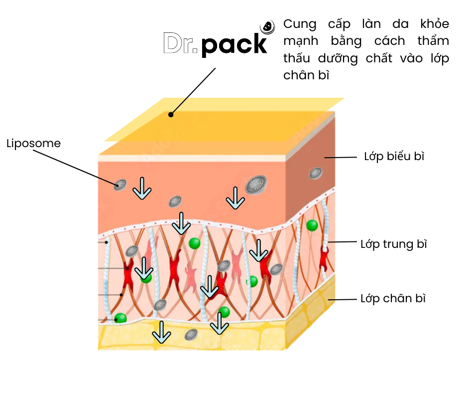 Mặt nạ thông thường vs Dr.Pack Dr.Pack so sanh 2